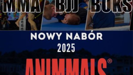 Nowy NABÓR - ANIMMALS